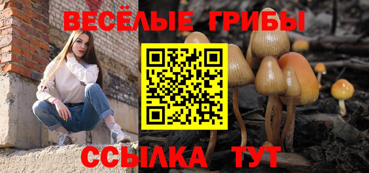 Псилоцибиновые грибы прущие грибы Будённовск