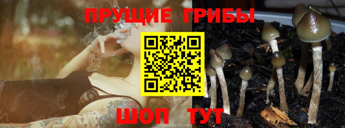 Будённовск  Псилоцибиновые грибы ЛСД  Псилоцибиновые грибы мухоморы  Вход с VPN 